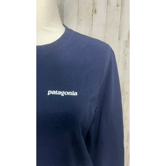 Patagonia Men's Long Sleeve Graphic Tee Blue Size Small Crew Neck - Picture 2 of 6
